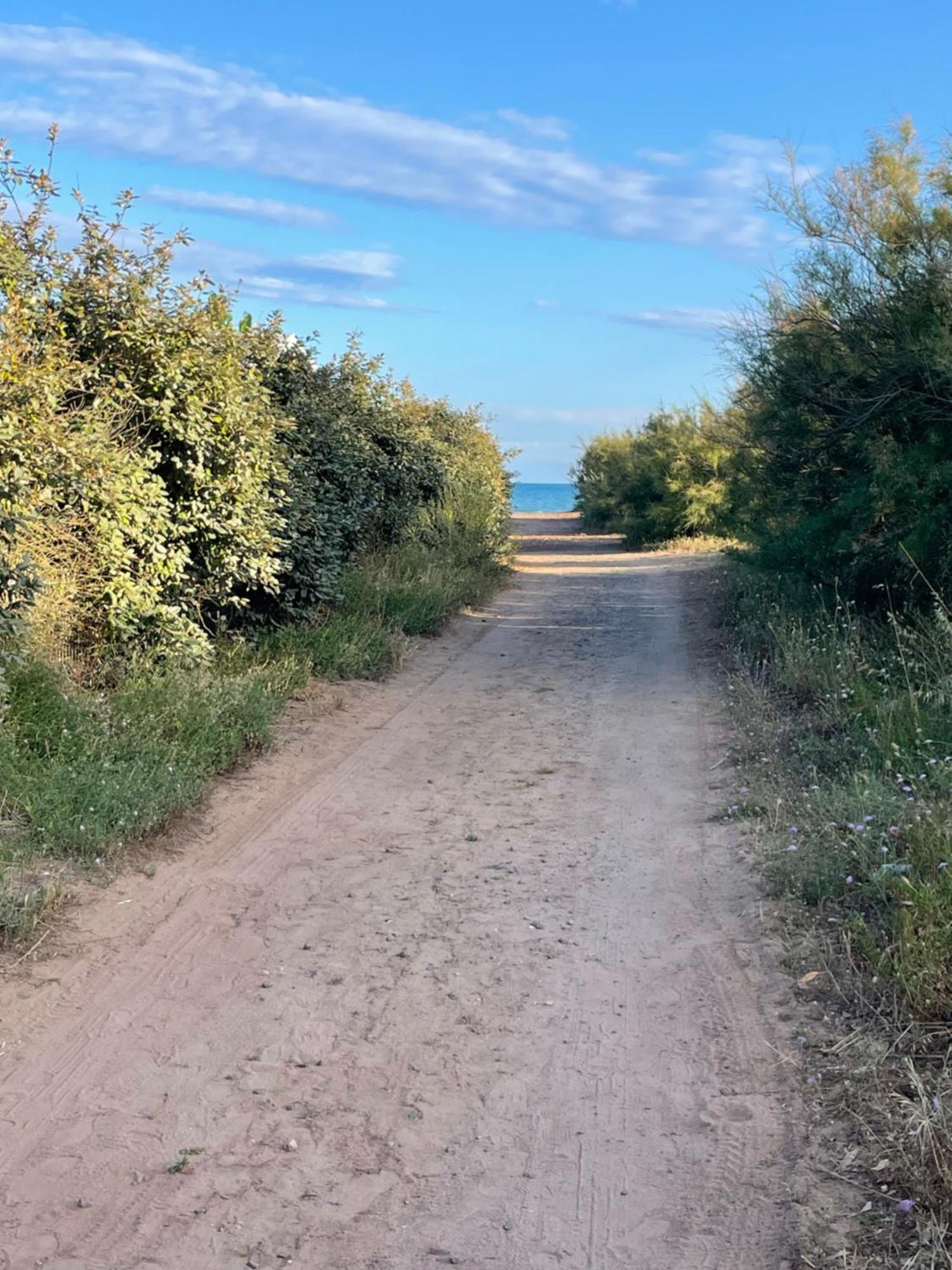 Du Cote De Chez Swann A 150 M De La Plage Vias Εξωτερικό φωτογραφία